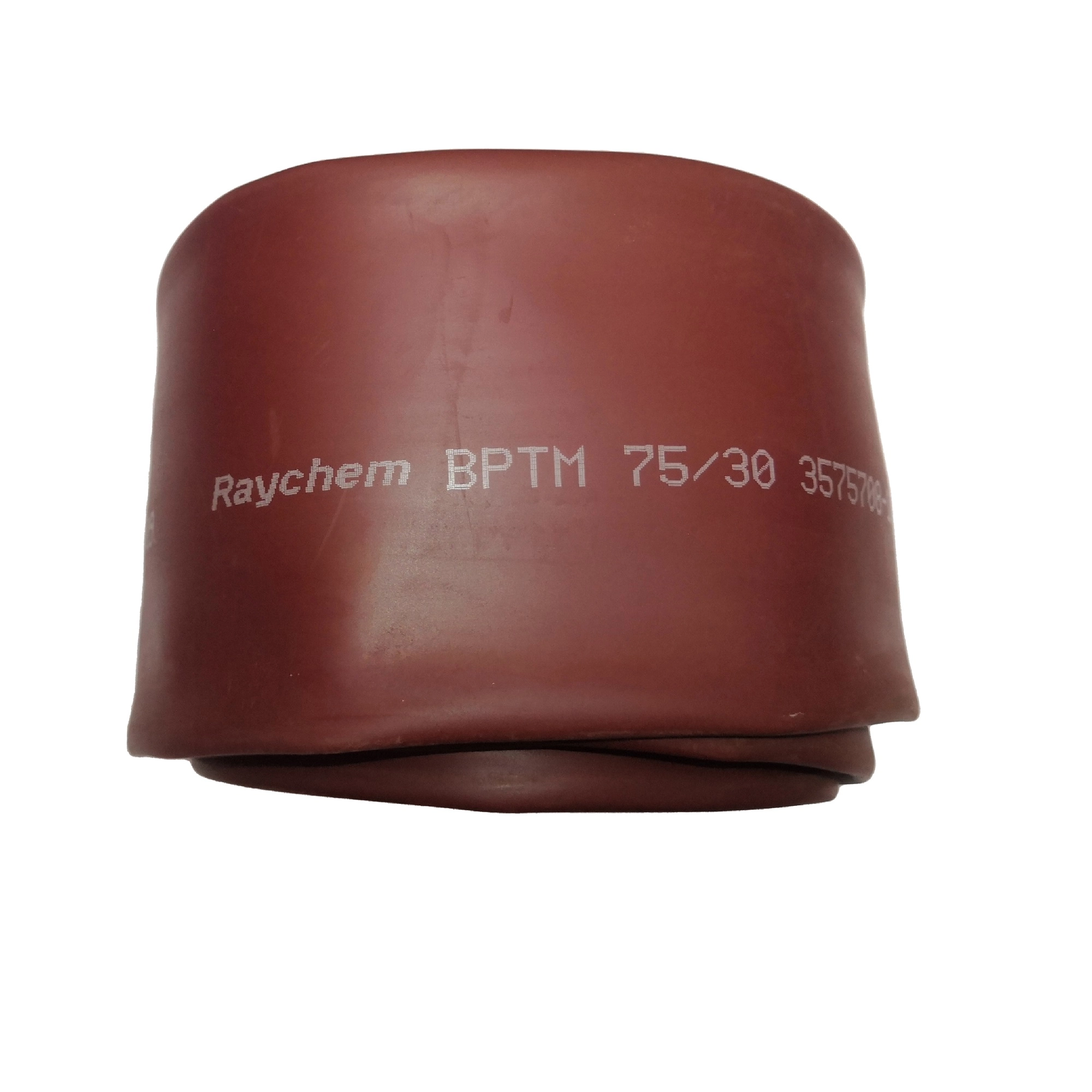 BPTM